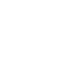 Community-Voice-Action